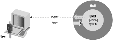 The shell is a layer around the UNIX operating system