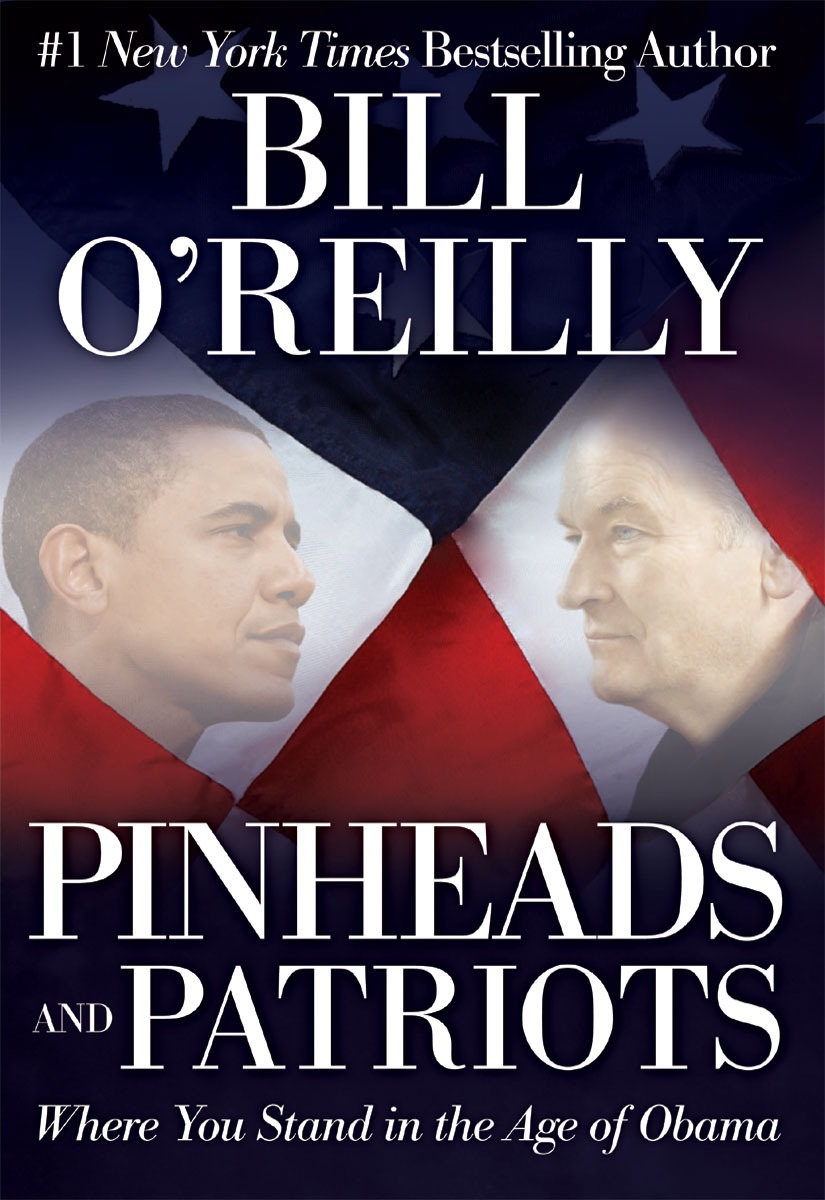 Pinheads and Patriots: Where You Stand in the Age of Obama