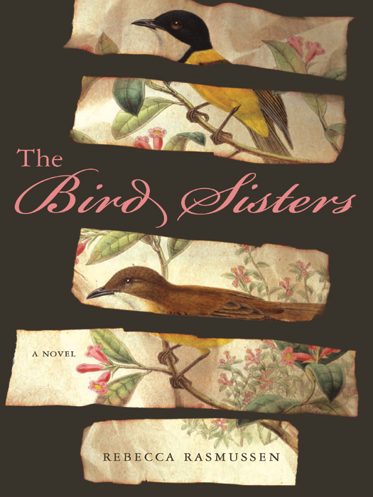 The Bird Sisters: A Novel