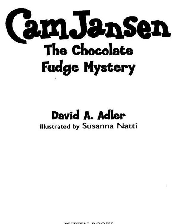 The Chocolate Fudge Mystery