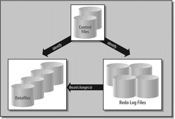 The files that make up a database