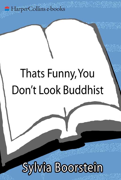 That's Funny, You Don't Look Buddhist