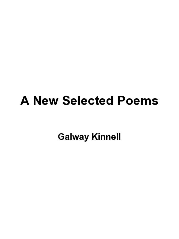 A New Selected Poems