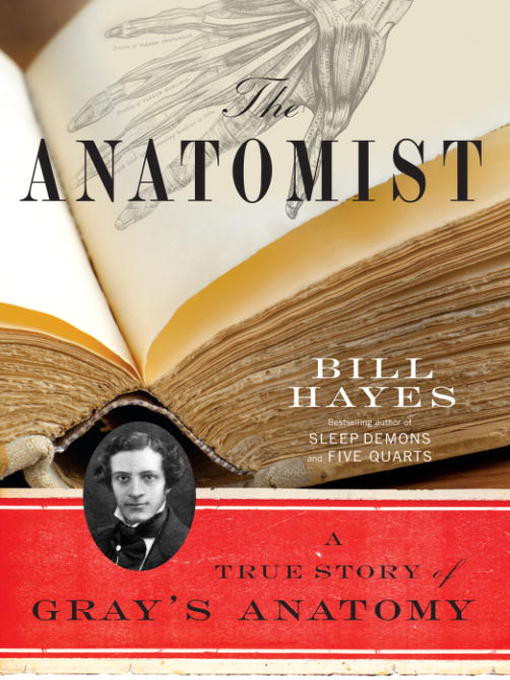 The Anatomist