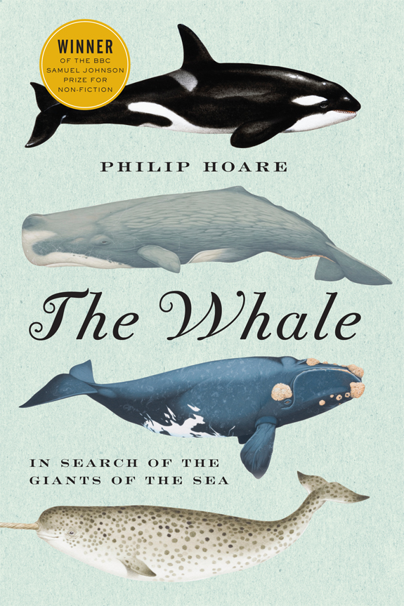 The Whale