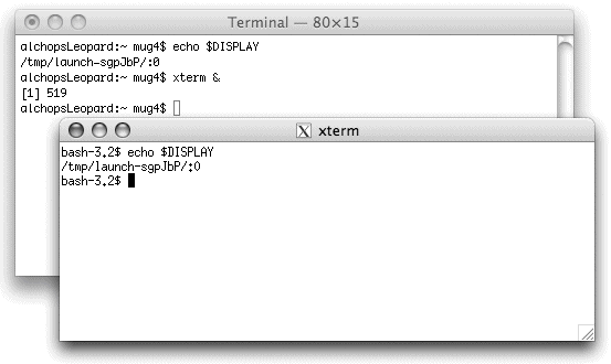 A Terminal window and an xterm window sporting the Aqua look