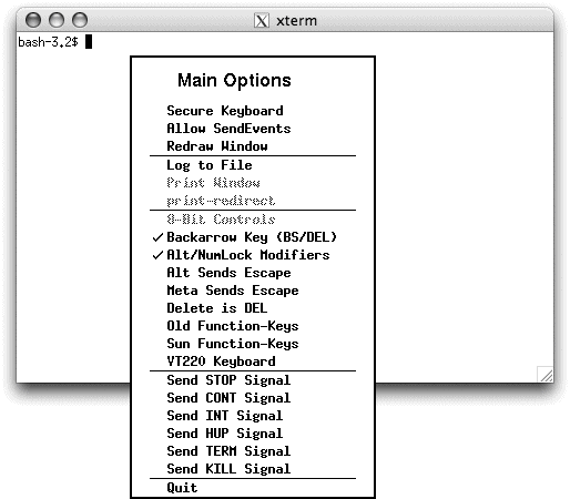 Control-clicking (or Control-left-clicking) in an xterm window