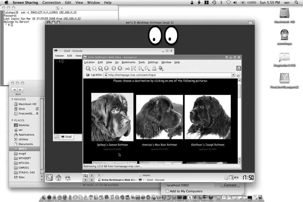 Screen Sharing VNC viewer displaying a remote Mac’s KDE desktop