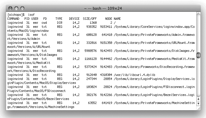 Partial output from lsof