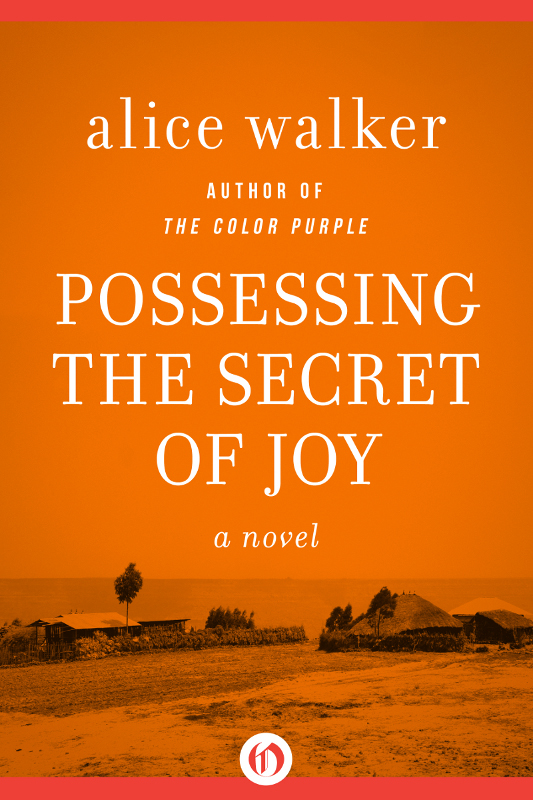 Possessing the Secret of Joy